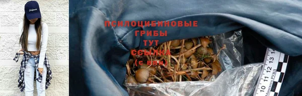 сатива Волосово