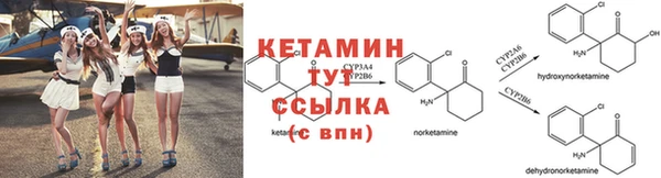 сатива Волосово