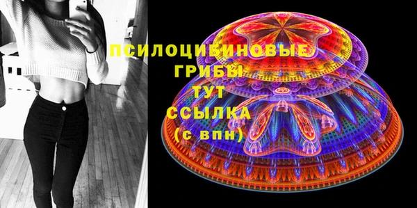 спиды Володарск
