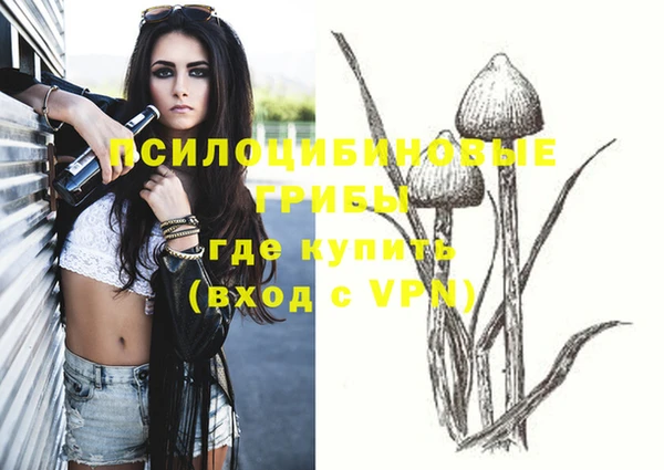 сатива Волосово